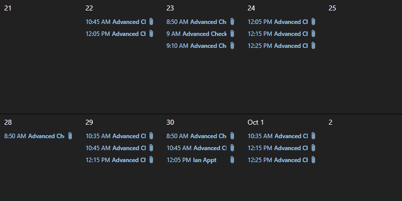 Advanced learners sign-up via Google Calendar for individual appointments to discuss their capstone project.